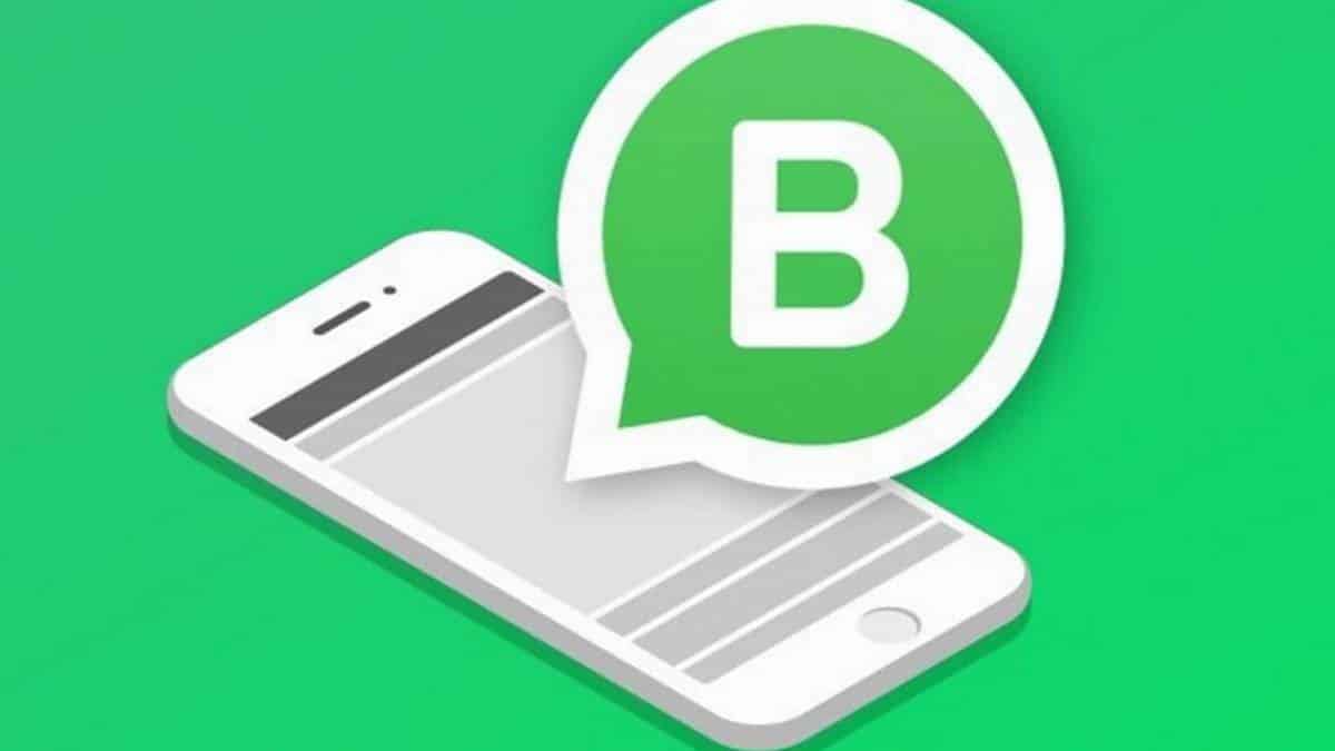 Empresas que usam o WhatsApp Business poderão sofrer processos por envio de mensagens em massa